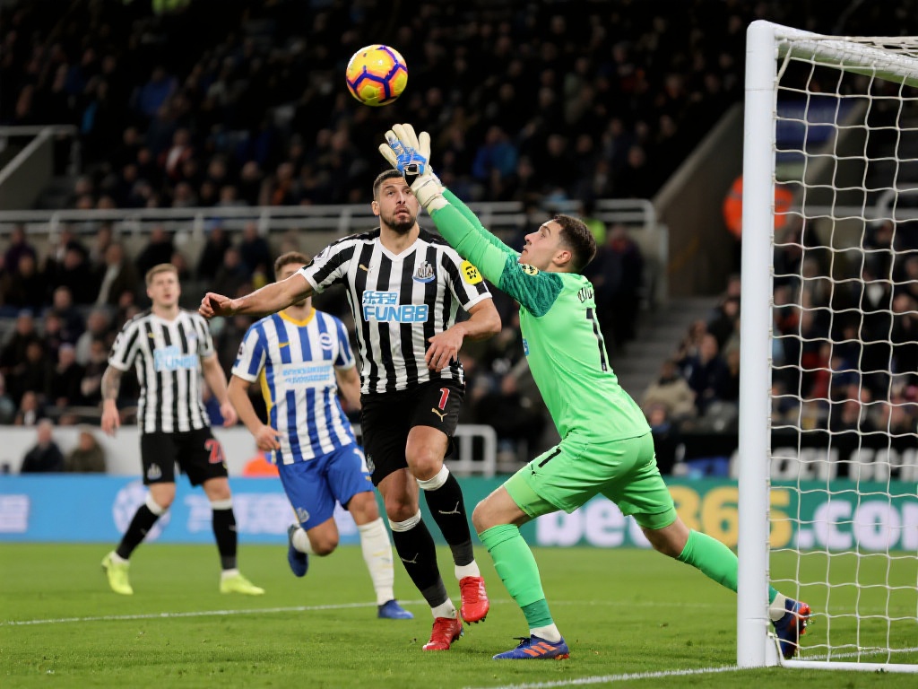 在娱乐方面 在娱乐方面